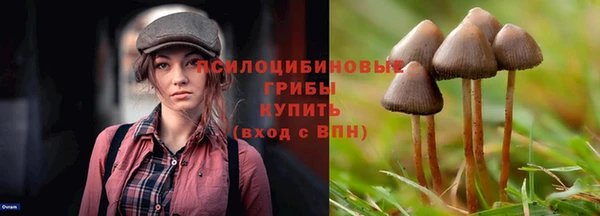 трава Новозыбков