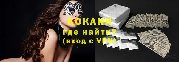 трава Новозыбков
