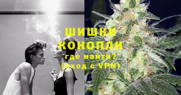 трава Новозыбков