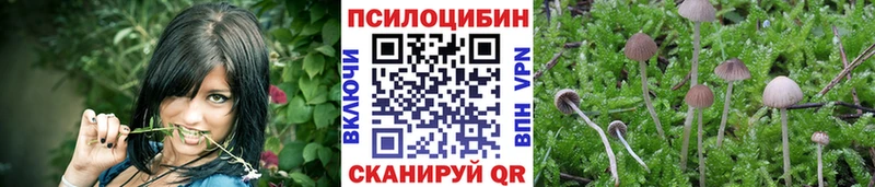 Галлюциногенные грибы GOLDEN TEACHER  Губаха 