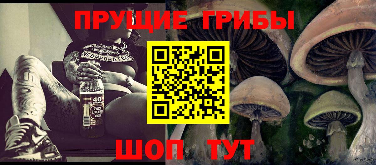 Галлюциногенные грибы мицелий  Галлюциногенные грибы Psilocybine cubensis  Губаха 