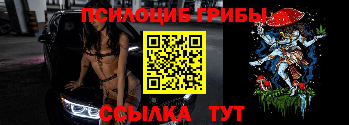 Псилоцибиновые грибы Cubensis  Вход с VPN  Губаха 