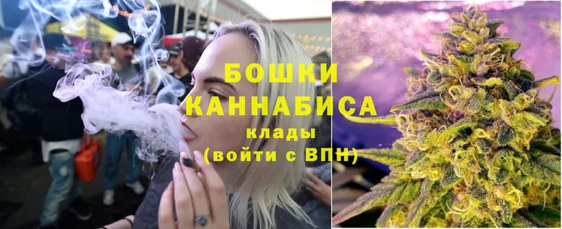 хочу наркоту  Губаха  Марихуана Amnesia 